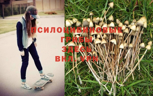 марки lsd Зеленокумск