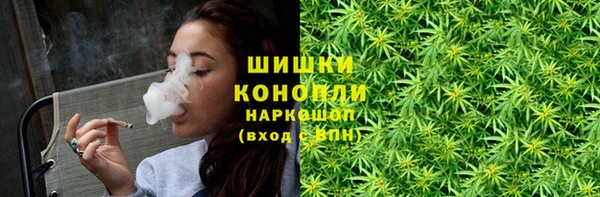 дживик Инсар