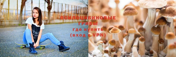 меф VHQ Инта