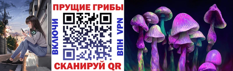 kraken ТОР  Кемь  Галлюциногенные грибы мухоморы  где найти наркотики 